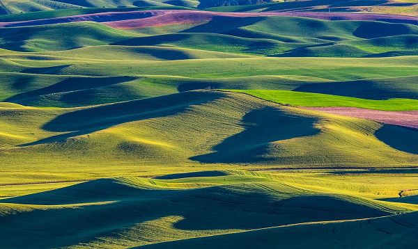 Gulin, Sylvia 아티스트의 USA-Washington State-Palouse and Steptoe Butte State Park view of Wheat and Canola작품입니다.